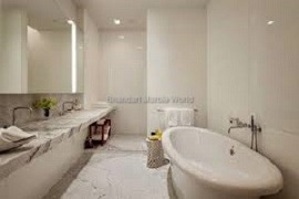 bath room of indian statuario